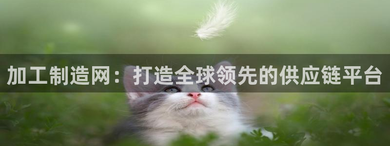 万事娱乐说