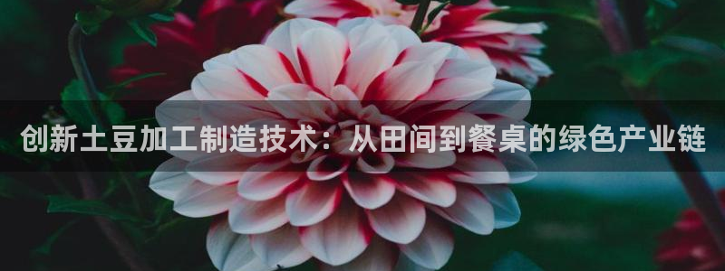 万事娱乐是谁的平台