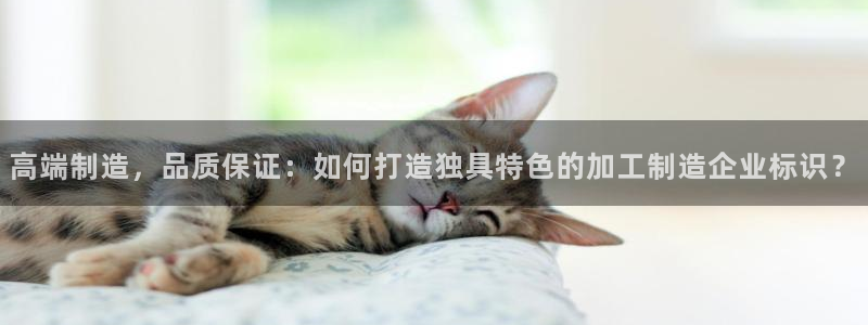 万事娱乐君