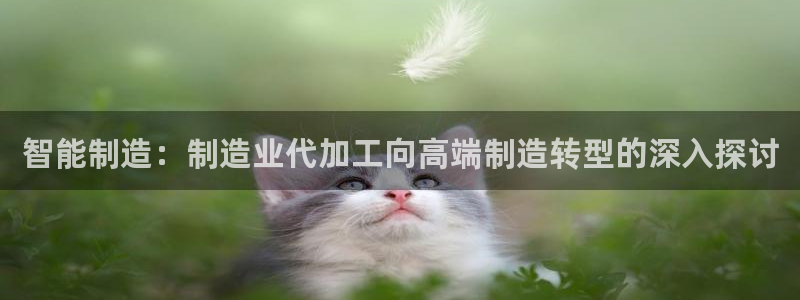 万事豪娱乐