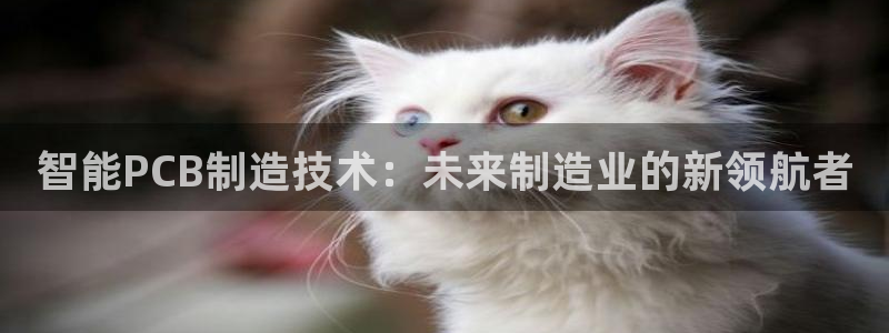 万事兴娱乐会所