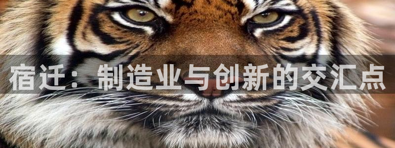 万事娱乐官网下载手机版