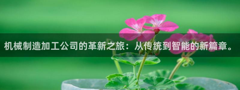 万事娱乐注册平台