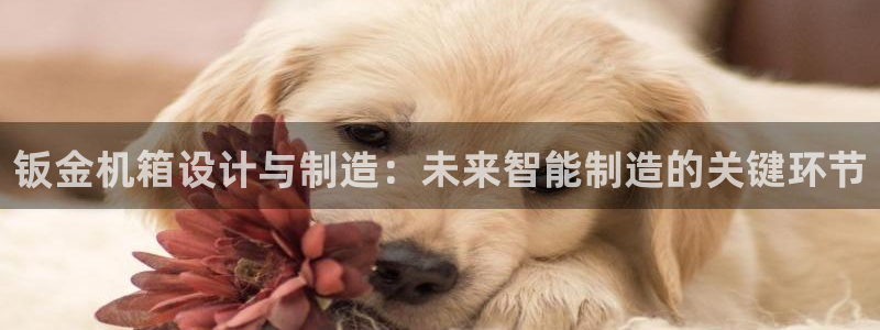 万事达娱乐指尖那
