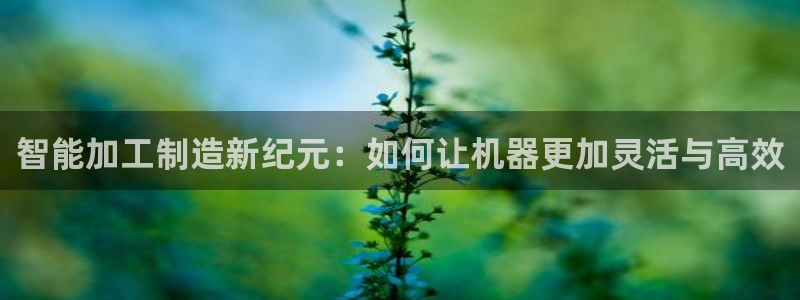 娱乐生活万事通