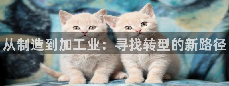 万事娱乐登录注册