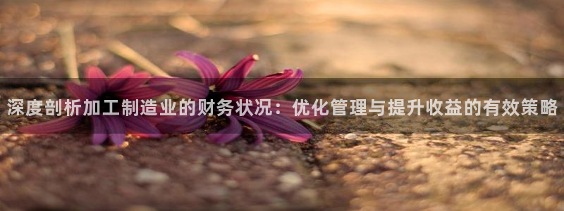 万事其昌娱乐传媒