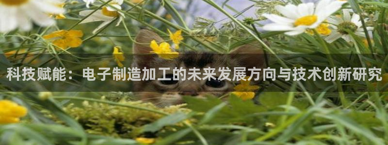 万事娱乐登录网址