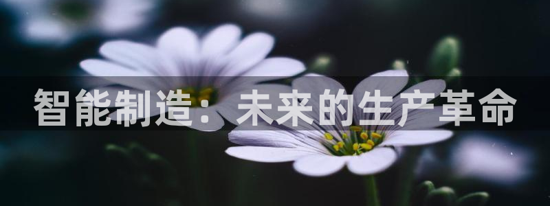 美女春节娱乐万事如意