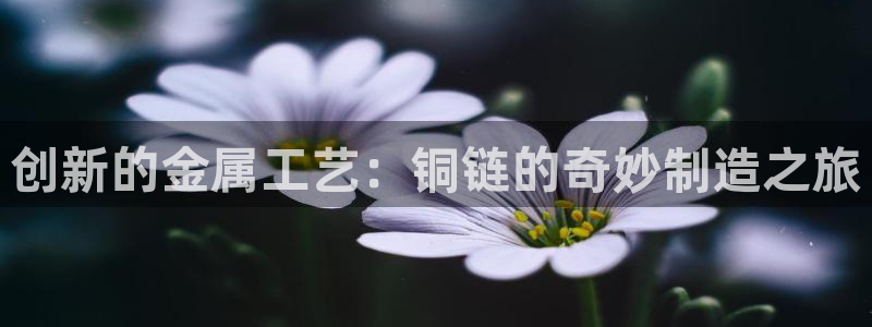万事豪情娱乐会所