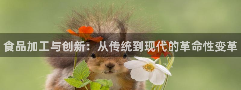 万事娱乐发展历程