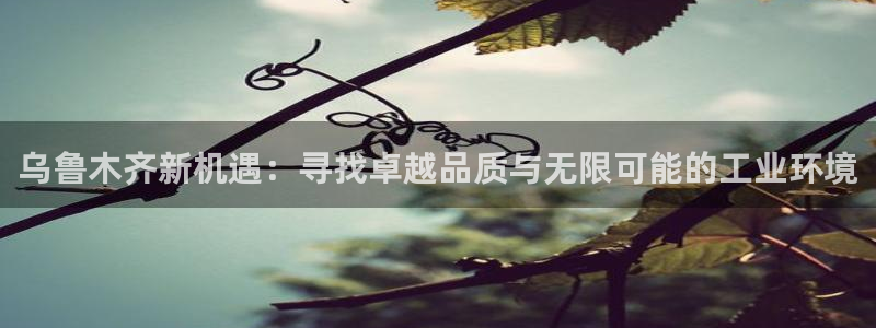 万事达娱乐指尖之