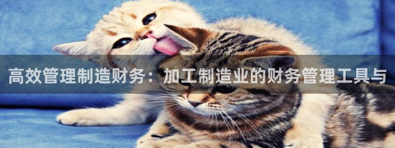 万事娱乐主管年薪多少