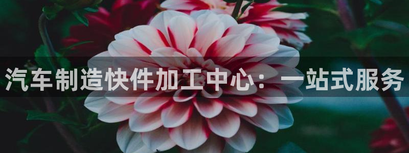 网易万事娱乐