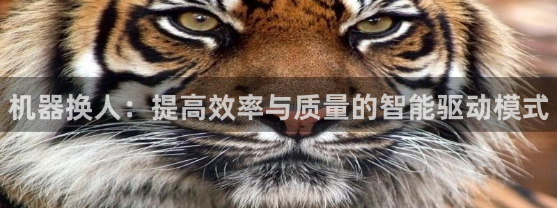 万事2娱乐