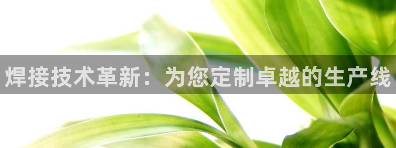 万事2娱乐怎么样