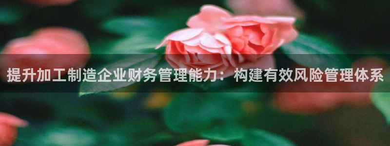 万事达娱乐荣誉21