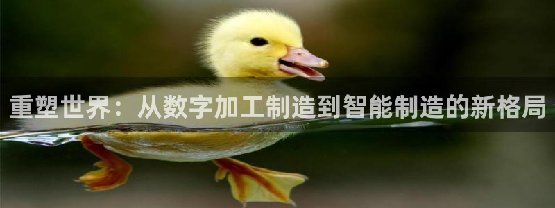 万事娱乐君