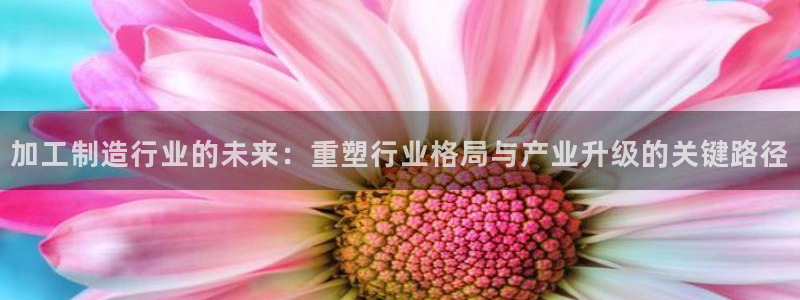 万事看娱乐