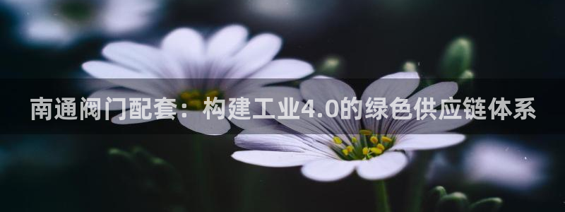 万事娱乐主管薪资