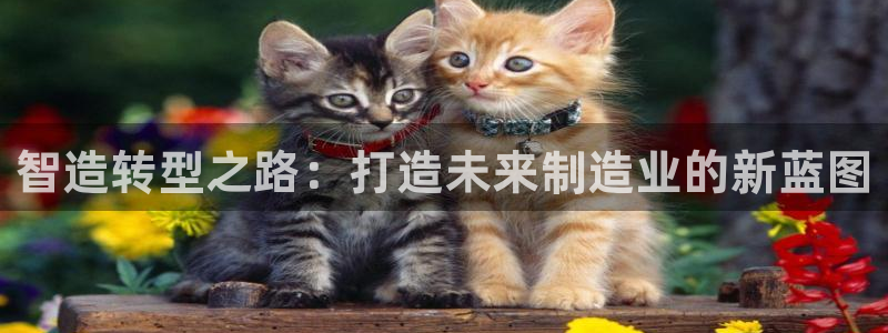 万事达娱乐指尖得