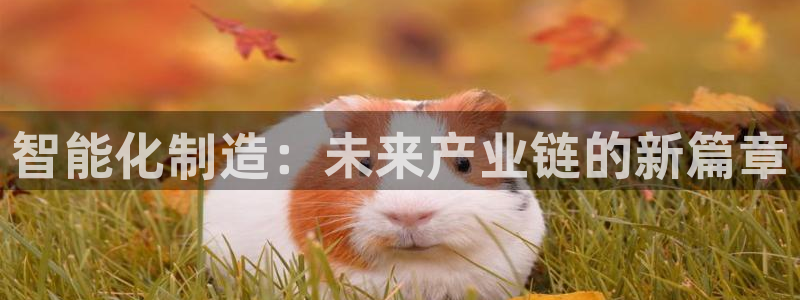 万事达娱乐招商