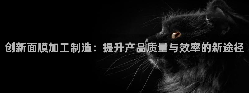 万事达娱乐高善良