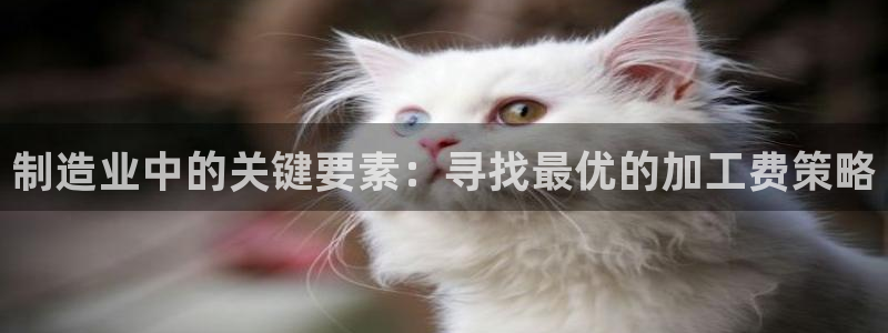 万事顺文化娱乐