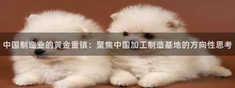 万事达娱乐a实力56262