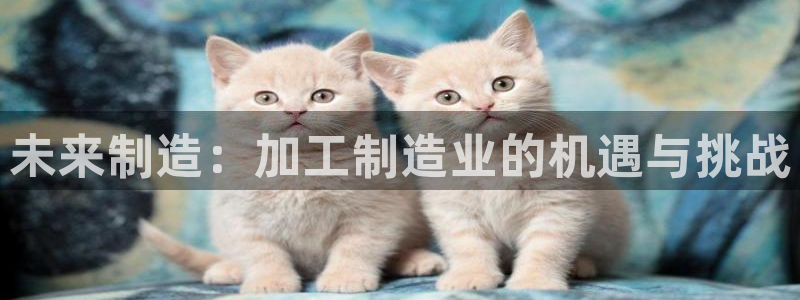 万事娱乐官网下载手机版