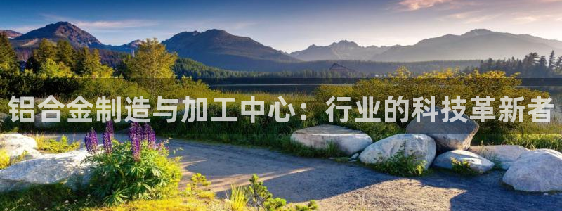 万事皆可娱乐的英语