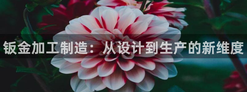 娱乐万事通作品