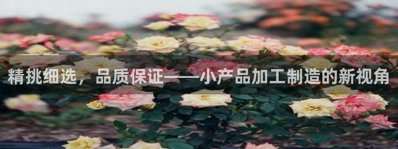 万事达娱乐登陆
