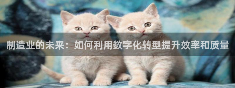 万事成物流娱乐宣传
