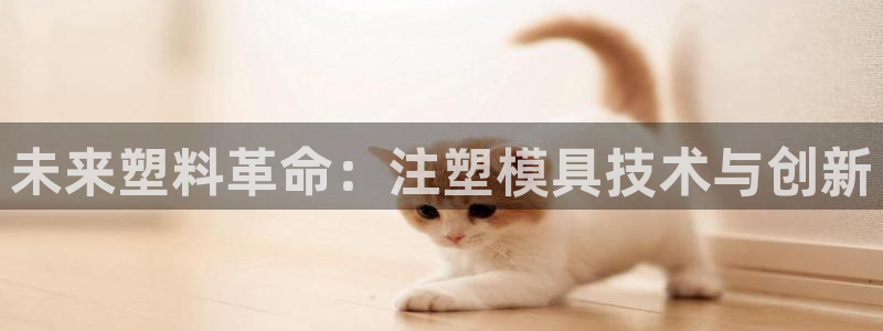 万事娱乐主管年薪多少