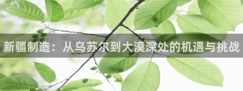 万事娱乐官网网址