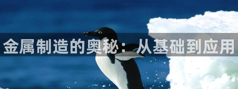 万事如意纯属娱乐