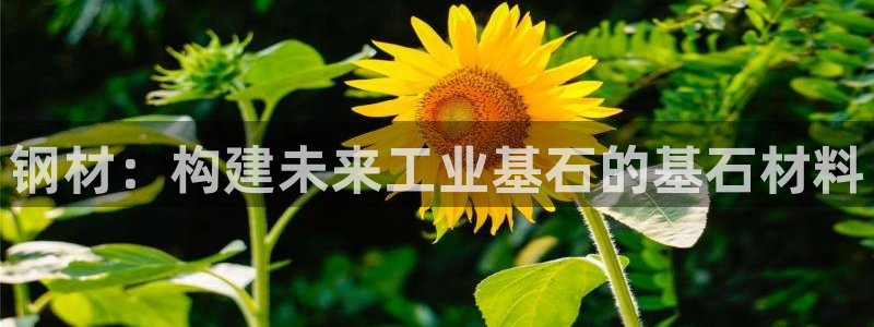 万事娱乐首页入口在哪