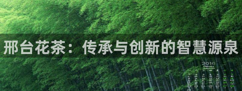 娱乐宝宝万事屋