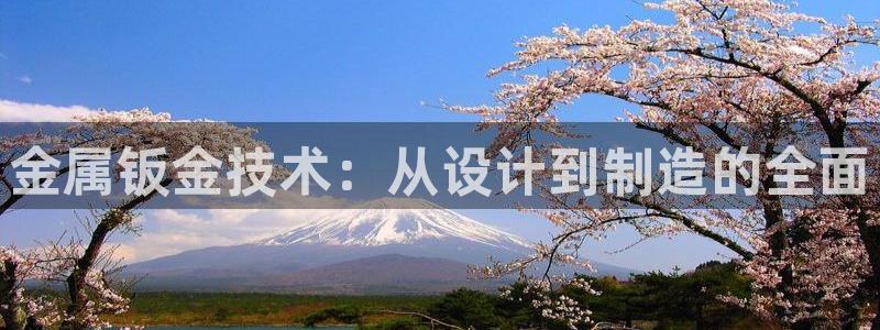 万事如意星河娱乐