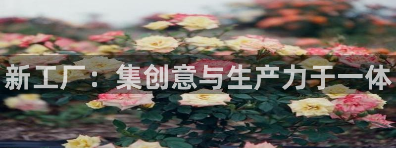 万事娱乐联37997