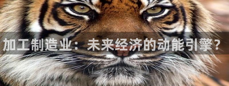 万事达娱乐b 判官