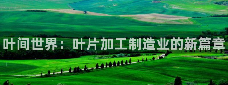 万事娱乐怎么拿代理