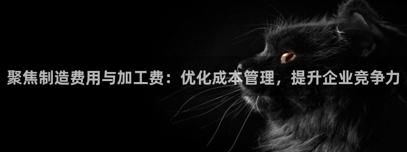 万事2娱乐怎么样