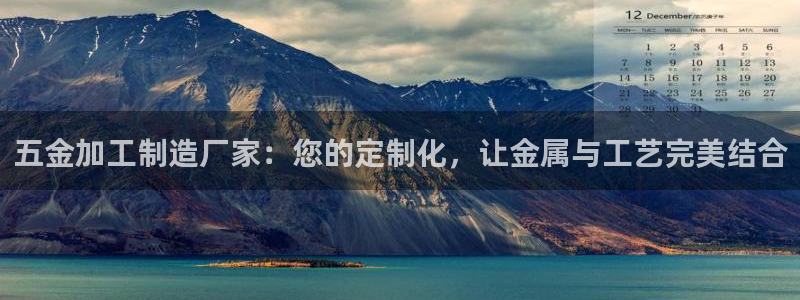 万事达娱乐股东