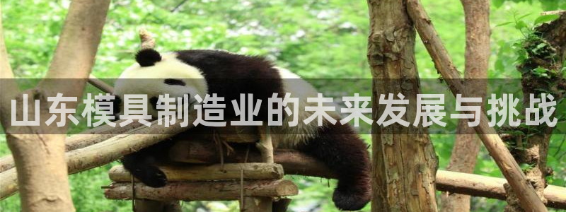 万事娱乐首页登录