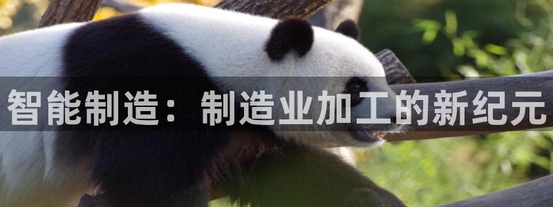 娱乐制造机万事屋