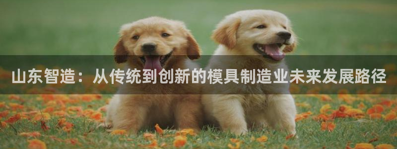 万事娱乐平台注册不了