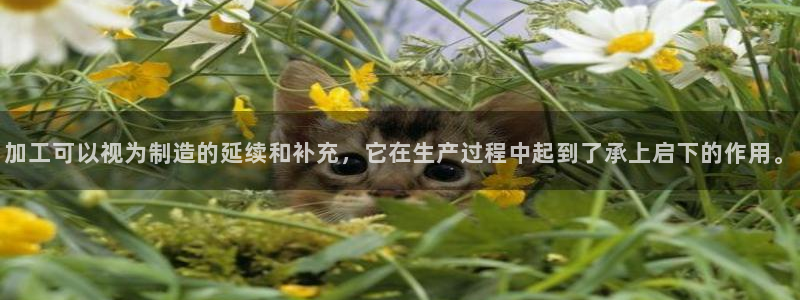 万事达娱乐i 判官