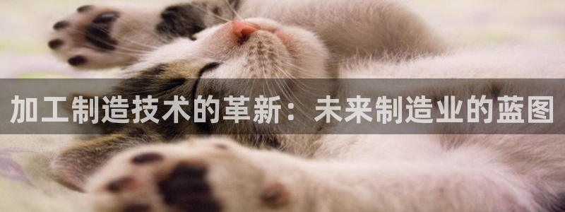 万事娱乐官网下载安装